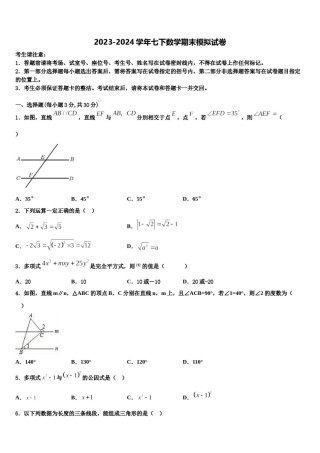 广东省深圳市龙岗区六约学校2024届数学七下期末复习检测试题含解析.doc