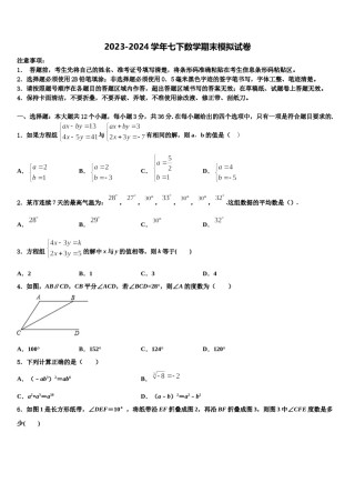 广东省湛江二十七中学2024届数学七下期末检测试题含解析.doc