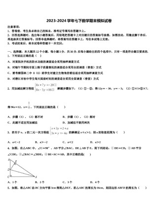 广东省湛江市三校2024届七下数学期末学业水平测试试题含解析.doc