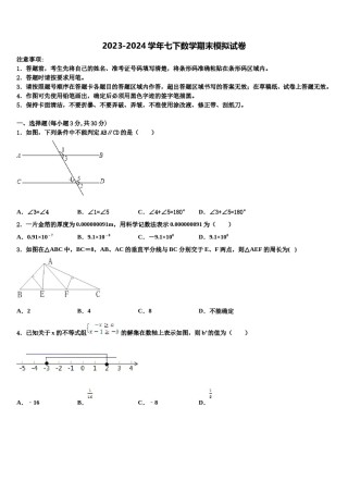广东省湛江市第二中学2024届数学七下期末质量跟踪监视模拟试题含解析.doc