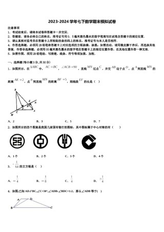 广东省湛江市第二中学2024年七年级数学第二学期期末复习检测模拟试题含解析.doc
