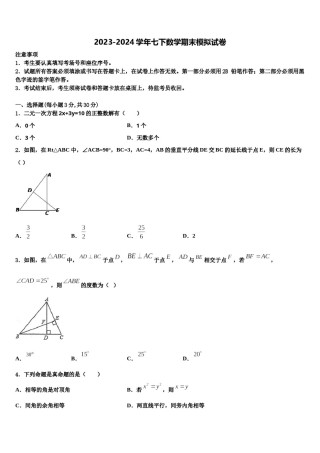 广东省珠海市第十一中学2024年七下数学期末检测模拟试题含解析.doc