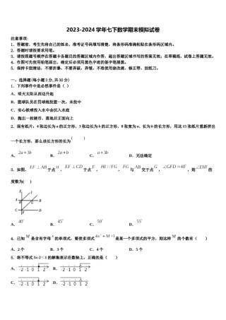广东省茂名市名校2024届七下数学期末达标检测试题含解析.doc