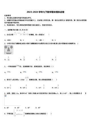 广东省韶关市乐昌市2023-2024学年数学七下期末综合测试试题含解析.doc
