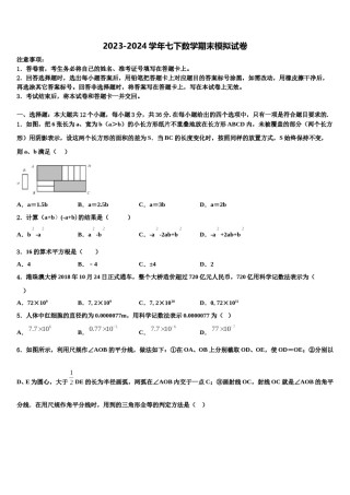 广东省韶关市乐昌市2024年数学七下期末监测模拟试题含解析.doc