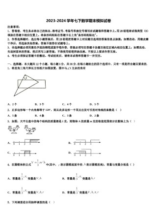 广州大附属中学2024年七年级数学第二学期期末检测模拟试题含解析.doc