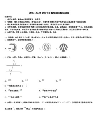 广西南宁八中学2023-2024学年七年级数学第二学期期末预测试题含解析.doc