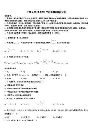 广西南宁市兴宁区新兴学校2023-2024学年数学七下期末达标检测试题含解析.doc