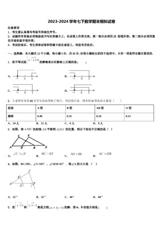 广西南宁市兴宁区新兴学校2024届七年级数学第二学期期末联考试题含解析.doc