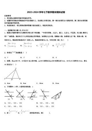 广西南宁市第三中学2023-2024学年七下数学期末经典试题含解析.doc