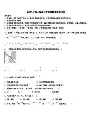 广西壮族自治区崇左市宁明县2024届七下数学期末经典试题含解析.doc