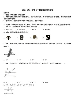 广西百色市右江区2023-2024学年七年级数学第二学期期末统考模拟试题含解析.doc