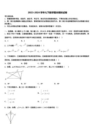 揭阳市重点中学2024年七下数学期末学业质量监测试题含解析.doc