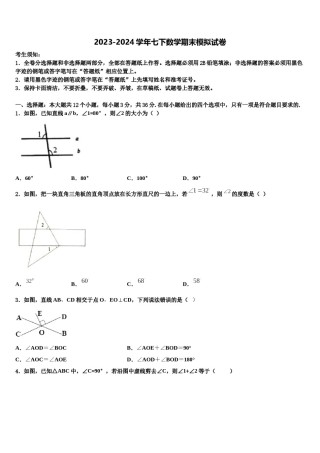 攀枝花市重点中学2023-2024学年七年级数学第二学期期末经典试题含解析.doc