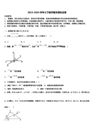 新疆北大附中新疆分校2024年数学七下期末考试试题含解析.doc