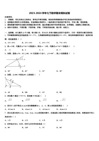 新疆奇台县2023-2024学年七年级数学第二学期期末质量检测试题含解析.doc