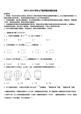 新疆维吾尔自治区第二师三十团中学2024届七年级数学第二学期期末学业水平测试试题含解析.doc
