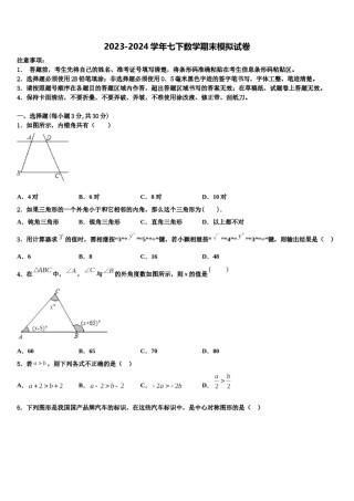 新疆维吾尔自治区轮台县第二中学2024年七年级数学第二学期期末复习检测模拟试题含解析.doc