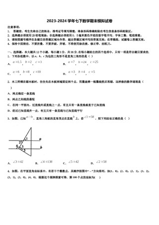 新疆自治区北京大学附属中学新疆分校2024届七年级数学第二学期期末综合测试模拟试题含解析.doc