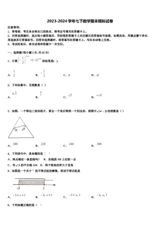 汕头市金平区2023-2024学年七年级数学第二学期期末质量跟踪监视模拟试题含解析.doc