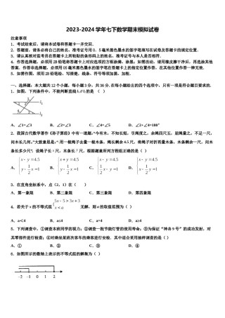 江苏扬州市仪征市2024届七下数学期末检测试题含解析.doc