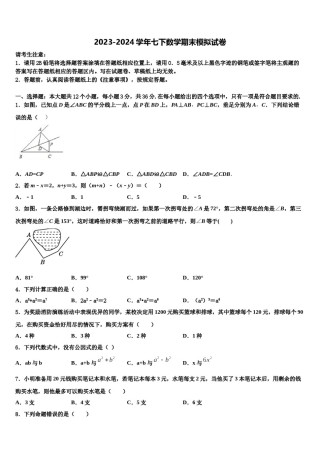 江苏泰州市高港实验学校2023-2024学年数学七下期末质量跟踪监视试题含解析.doc