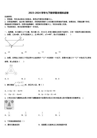 江苏省南京市南京航天大附属初级中学2023-2024学年七下数学期末考试模拟试题含解析.doc