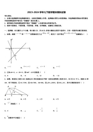 江苏省南京市江宁区湖熟片2024年七下数学期末经典试题含解析.doc