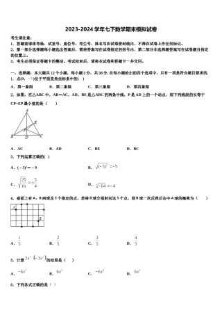 江苏省南京市金陵中学2024届七下数学期末质量检测模拟试题含解析.doc