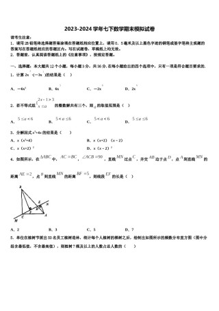 江苏省南京市高淳区2024届七年级数学第二学期期末教学质量检测模拟试题含解析.doc