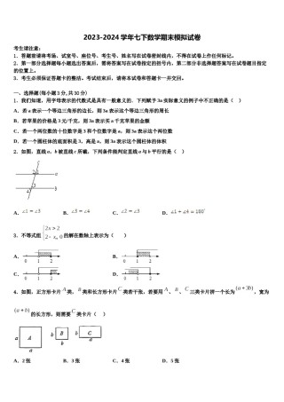 江苏省南京玄武外国语学校2023-2024学年数学七下期末质量检测模拟试题含解析.doc