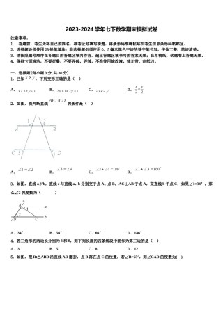 江苏省启东汇龙中学2023-2024学年七下数学期末调研模拟试题含解析.doc