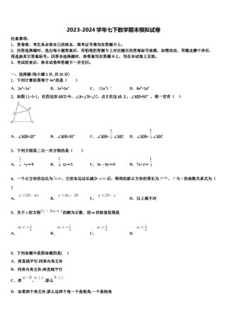 江苏省徐州市新城实验学校2024届七下数学期末质量检测模拟试题含解析.doc