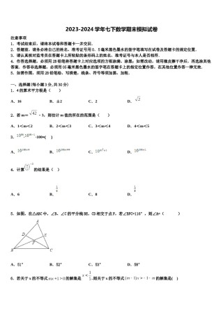 江苏省徐州市新城实验学校2024届七年级数学第二学期期末质量检测模拟试题含解析.doc