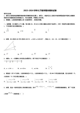 江苏省扬州市广陵区树人学校2024届七下数学期末学业水平测试试题含解析.doc