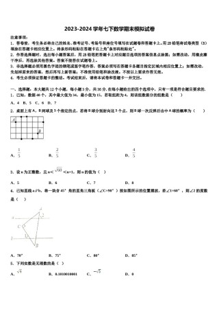 江苏省扬州市邗江实验2023-2024学年七下数学期末质量检测模拟试题含解析.doc