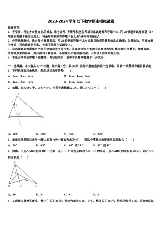 江苏省无锡市长泾片2024届七年级数学第二学期期末检测模拟试题含解析.doc