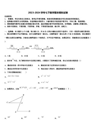 江苏省江阴市长泾片2024届七下数学期末联考模拟试题含解析.doc