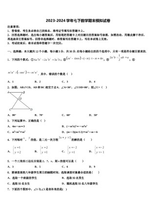 江苏省泰州市泰兴实验中学2023-2024学年数学七下期末联考试题含解析.doc