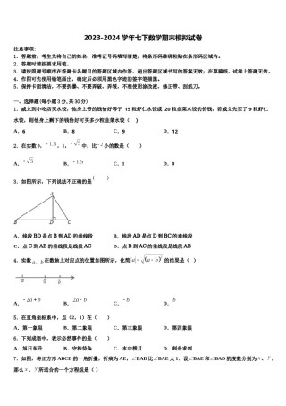 江苏省溧水县2024届七下数学期末质量检测试题含解析.doc