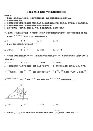 江苏省灌南私立新知双语学校2024届七下数学期末考试试题含解析.doc