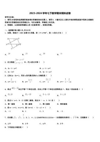 江苏省盐城市东台市第一教育集团2023-2024学年七下数学期末学业水平测试模拟试题含解析.doc