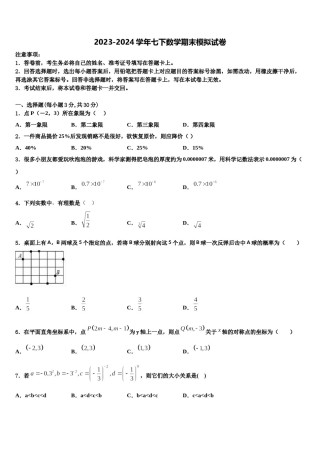 江苏省盐城市射阳外国语学校2024年七下数学期末质量跟踪监视试题含解析.doc