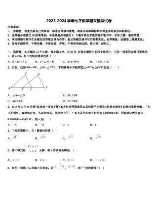 江苏省盐城市射阳外国语学校2024年七年级数学第二学期期末联考模拟试题含解析.doc