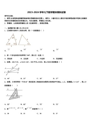江苏省盐城市獐沟中学2023-2024学年七下数学期末学业质量监测模拟试题含解析.doc