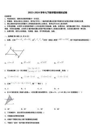 江苏省苏州市新草桥中学2024年七年级数学第二学期期末综合测试模拟试题含解析.doc