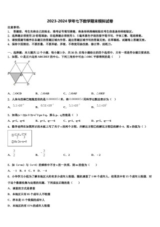 江苏省连云港外国语学校2024届七年级数学第二学期期末检测模拟试题含解析.doc
