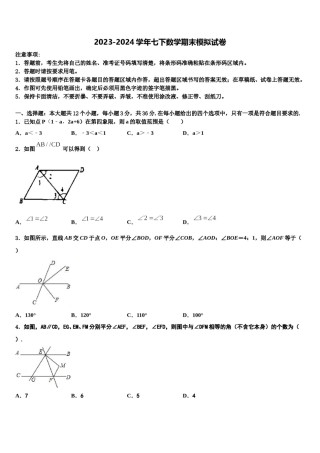 江苏省镇江市丹徒区江心实验学校2024届七年级数学第二学期期末经典试题含解析.doc