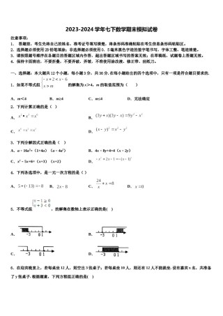 江西省乐平市2024年七下数学期末质量检测模拟试题含解析.doc