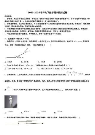 江西省吉安市泰和县2023-2024学年七下数学期末达标检测模拟试题含解析.doc